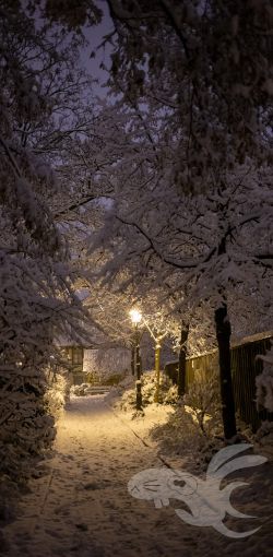 2021 01 03 wernigerode nacht
