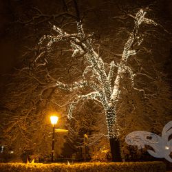 2021 01 03 wernigerode nacht