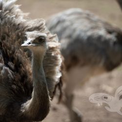 2021 05 30 zoo aschersleben