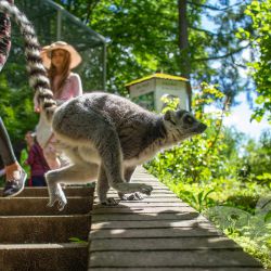 2021 08 08 urlaub zoo eberswalde