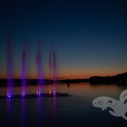 2021 08 11 unbenannt