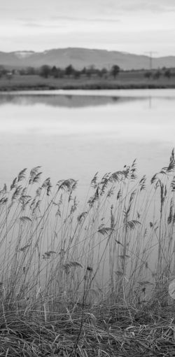 2023 02 05 gassi yumi smatvelde