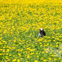 2023 04 23 spaziergang yumi