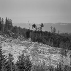 2021 07 28 hohnekamm