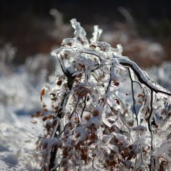 2021 12 05 wurmberg winter