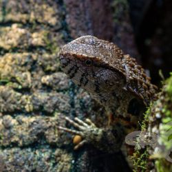 2022 10 27 erfurt zoopark